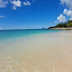 ste-luce-n-11-appart-300m-plage-de-mabouyas.comcaribbean.com/
